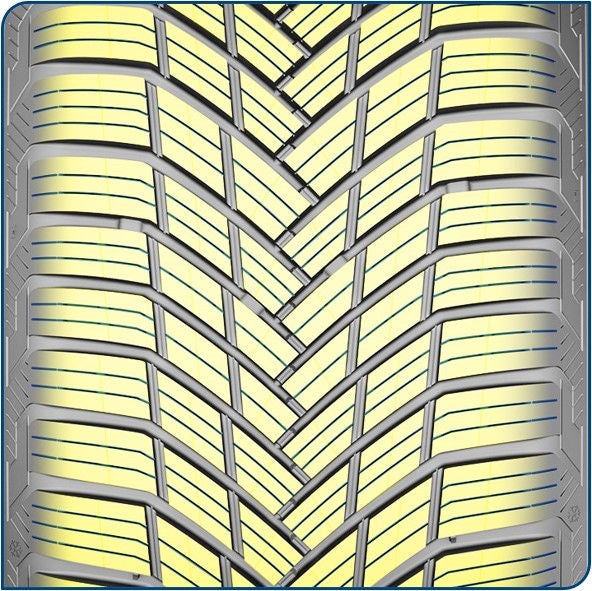 Quataris 6