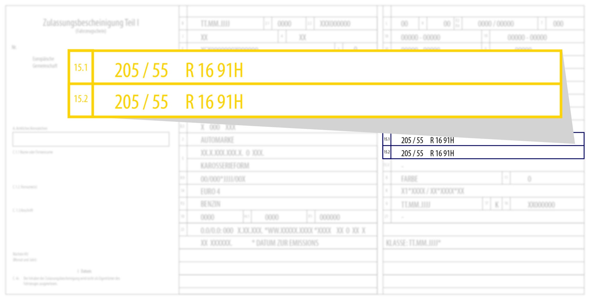 Barum Tyre Size Graphic 